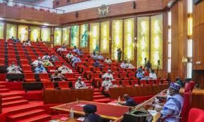 FG Reveals Salaries of Nigerian Senators, Ministers – FG | Daily Report Nigeria