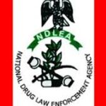 Lagos Drug Baron Declared Wanted by NDLEA | Daily Report Nigeria