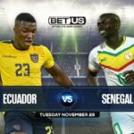 World Cup Betting: Ecuador vs Senegal - Prediction, odds, predicted lineups | Daily Report Nigeria