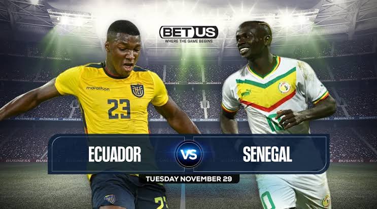 World Cup Betting: Ecuador vs Senegal - Prediction, odds, predicted lineups | Daily Report Nigeria