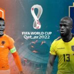 World Cup Betting: Netherlands vs Ecuador - Prediction, odds, predicted lineups | Daily Report Nigeria