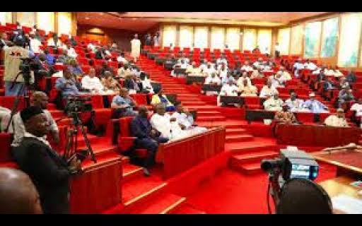 Senate Begins Probe on NDDC Over Job Racketeering | Daily Report Nigeria