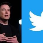 Musk Announces Gold, Grey, Blue Badges for Twitter | Daily Report Nigeria