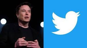 Musk Announces Gold, Grey, Blue Badges for Twitter | Daily Report Nigeria