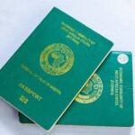 FG to Set-Up 1,000 Passport Offices In Hotels, Others | Daily Report Nigeria