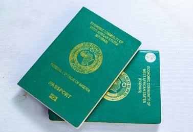 FG to Set-Up 1,000 Passport Offices In Hotels, Others | Daily Report Nigeria