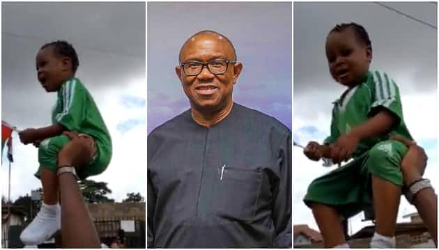 2023: Activist Sues Peter Obi for Involving Toddler in LP Rally | Daily Report Nigeria