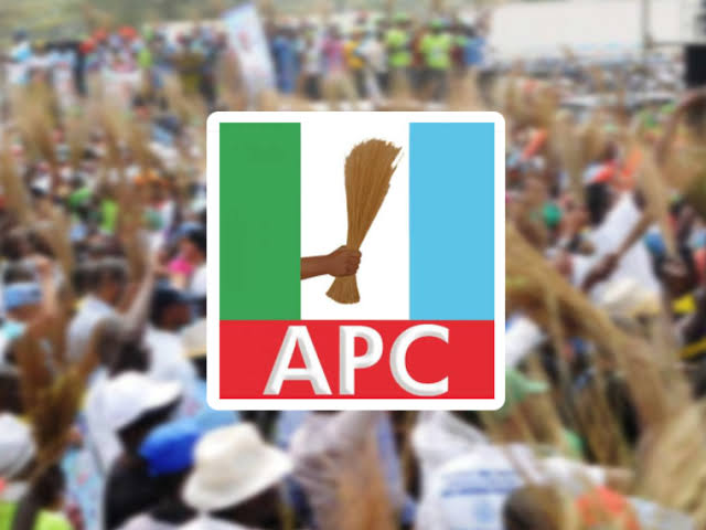 2023: Swarm of Bees Scatter APC Rally in Kogi | Daily Report Nigeria