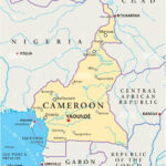 Landslide kills 14 Attending funeral in Cameroon Capital | Daily Report Nigeria