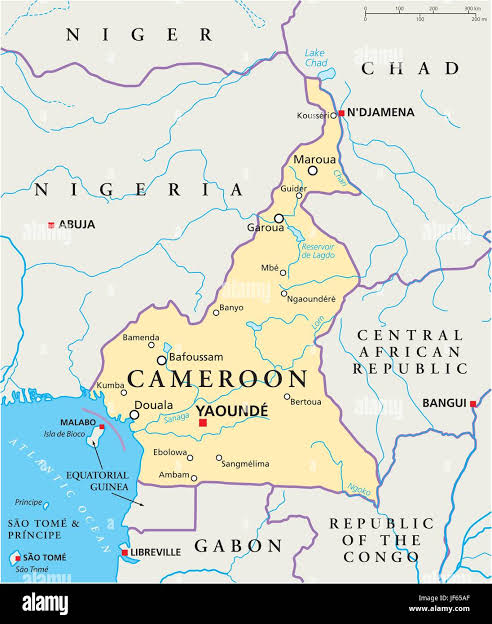 Landslide kills 14 Attending funeral in Cameroon Capital | Daily Report Nigeria