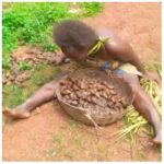 Many Arrested for Stripping, Parading Widow Naked For Picking Snails in Enugu | Daily Report Nigeria