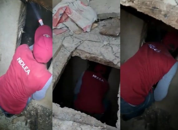 NDLEA Uncovers Underground Drug Bunk in Delta | Daily Report Nigeria