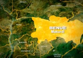 Benue Farmers Kill Cows, 3 Youths Killed in Reprisal | Daily Report Nigeria