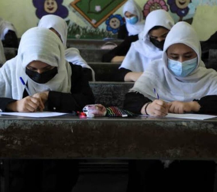 Taliban Suspends University Education For Women In Afghanistan | Daily Report Nigeria