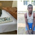 Man Kills Friend, Burys Body in Well, Steal Car in Kastina | Daily Report Nigeria