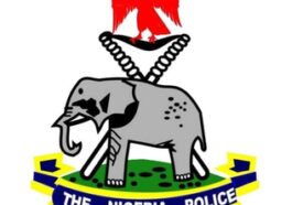 We'll Recruit Former Niger Delta Militants - Police | Daily Report Nigeria