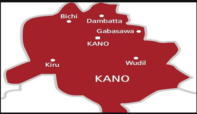 19 Kano Youths Arrested for Attending Same-s3x Wedding | Daily Report Nigeria