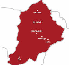 Pregnant Woman Killed During Attempt to Kidnap Husband in Borno | Daily Report Nigeria