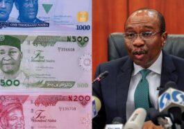 New Naira Notes Now in Banks - Emefiele | Daily Report Nigeria