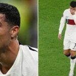 Qatar 2022: Ronaldo Reveals Biggest Ambition After World Cup Exit | Daily Report Nigeria