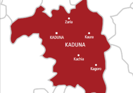 IDPs Decry S3xual Violence, Hunger in Kaduna Camps | Daily Report Nigeria