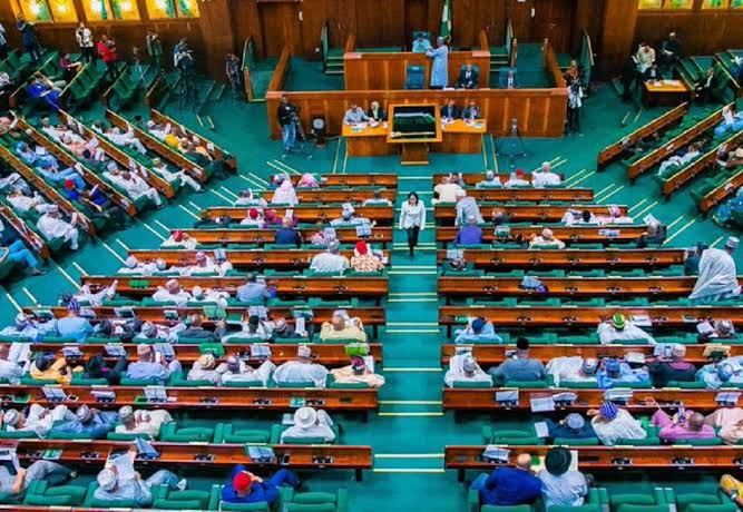 Begin Oil Exploration in Bida Basin–Reps tell FG | Daily Report Nigeria