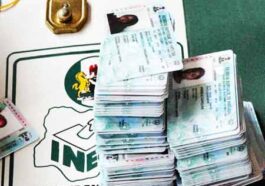 132,626 PVC's Uncollected in Anambra – INEC | Daily Report Nigeria