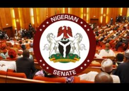 Senate Passes 2022 Supplementary Budget Of N819.5bn | Daily Report Nigeria