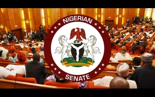 Senate Passes 2022 Supplementary Budget Of N819.5bn | Daily Report Nigeria