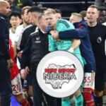 EPL: Tottenham Fan Attacks Ramsdale After Arsenal’s 2-0 Win | Daily Report Nigeria