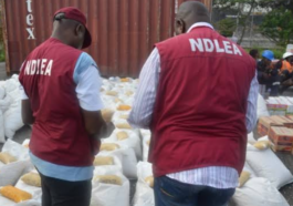 NDLEA Uncovers N5bn Illicit Drugs in Lagos Warehouse | Daily Report Nigeria