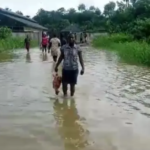 There'll Be Fresh Flooding In 2023— FG | Daily Report Nigeria