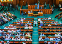 2023: Suspend Academic Activities In All Varsities— Reps | Daily Report Nigeria