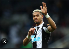 Newcastle Striker, Joelinton Handed 12-month Ban, Fined £31,000 | Daily Report Nigeria