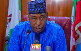 2023 Election: Borno Declares Eight-day Holiday For Schools | Daily Report Nigeria