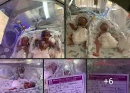 Unizik Lecturer Delivers Septuplets in Anambra, Seek Financial Help | Daily Report Nigeria