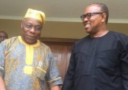 2023 Presidency: Why I Endorsed Peter Obi - Obasanjo | Daily Report Nigeria