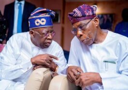 2023 Presidency: Obasanjo's Endorsement of Peter Obi Worthless - Tinubu | Daily Report Nigeria