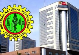 NNPC to Discover Oil in Niger, Borno, Other Northern States | Daily Report Nigeria