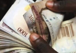 Naira Redesign: ISWAP Distributes Old Naira Notes to Travelers | Daily Report Nigeria