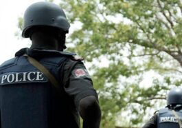 Police Arrest Boy Who Impregnated 10 Ladies in Baby Factory | Daily Report Nigeria