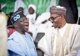 2023: Buhari To Campaign For Tinubu In 10 States Including Rivers | Daily Report Nigeria