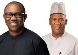 2023: We've Never Stolen Public Funds — Peter Obi | Daily Report Nigeria