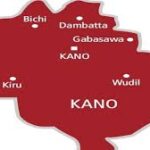 Herbalist Impregnates Customer in Kano | Daily Report Nigeria