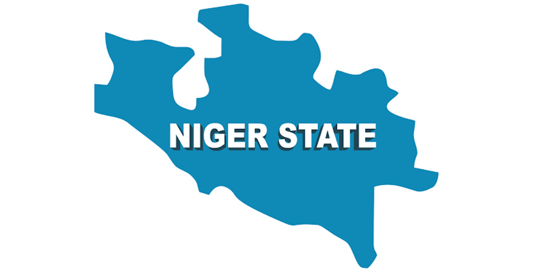 Male Organ Goes 'Missing' Inside Niger Government House