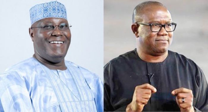 #2023ElectionResults: Obi Wins 1 LG as Atiku Sweeps Adamawa | Daily Report Nigeria