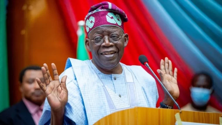 #NigeriaDecides: Tinubu Wins Borno with 252,282 Votes | Daily Report Nigeria