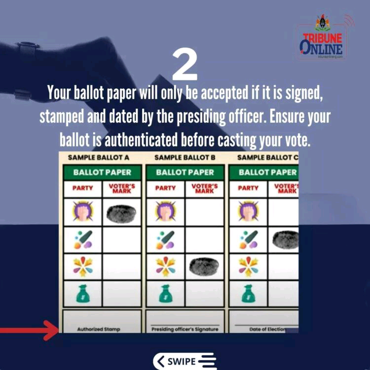 Elections: Top 6 Ballot Paper Guidelines You Should Know | Daily Report Nigeria