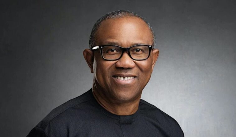 #NigeriaDecides: Peter Obi Takes Early Lead in Plateau | Daily Report Nigeria