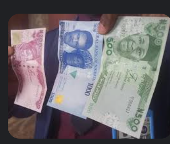 CBN Should Introduce N5,000 Notes Instead— NACCIMA | Daily Report Nigeria